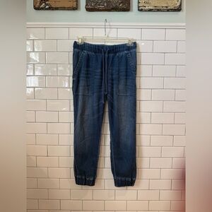 Cloth & Stone Indigo Jogger Pants
